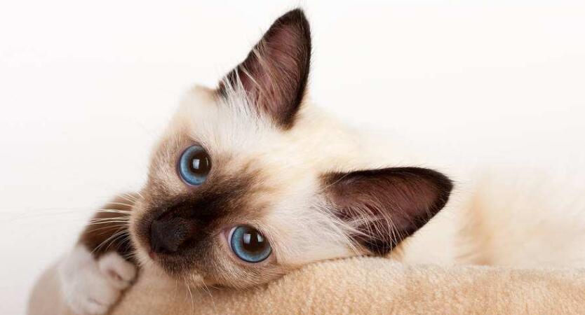 è�Է�����������ô�죿è�侭��������ô��