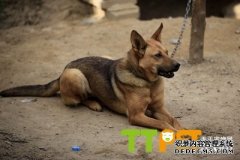 �����ʡ�С�ǹ��ܺ�ţ����С�ǹ��ܳԼ���