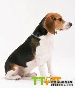 �ȸ�Ȯ�ܳ�ˮ���𣿱ȸ�Ȯ��ˮ���ò��ã�