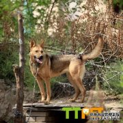 С�ǹ���ôι����Ҫע��ʲô��