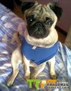 2���°˸�Ȯһ��Լ��Σ�һ�ٳԶ��٣�