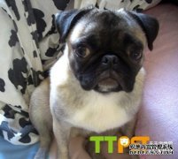 �˸�Ȯû������ô�죿ʲôԭ��