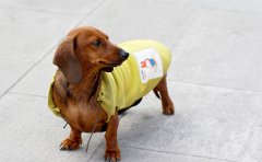 �����Զ�����ô��