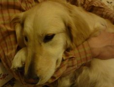 ��Ϊʲô��ë