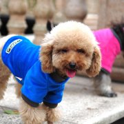 ̩����ô����