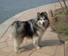 ����������ô�죿