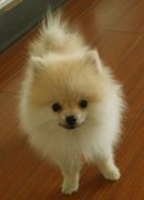 ������ë��ʲô