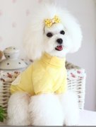 ����ëɫǳ��ô��