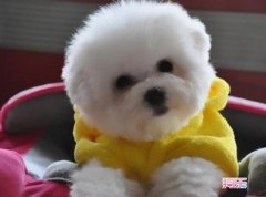 ���ܲ���Է���ô�죿