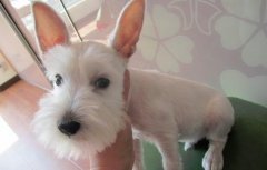 ������ʳ��ô��