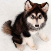 ������ë��ʲô