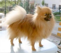 ����ëɫ������ô��