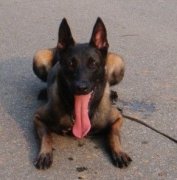 ��ô�ù���ëɫ��