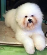 �������ë����ô��