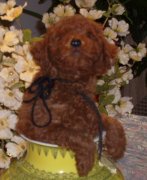 ̩��ëɫ�䵭��ô��