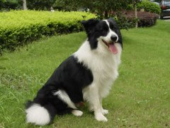 ������θ������ô��