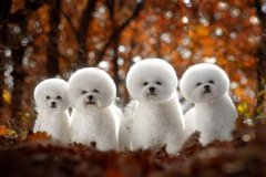 ������ʳ���ô�죿