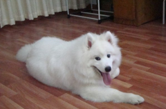 ���еĹ�����Ҫ��ô����Ӫ����