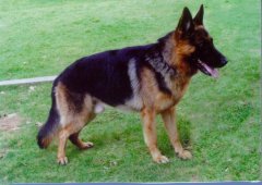 ����ȱ����ô�죿