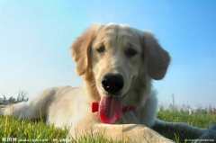 ѩ������ô���ƣ�