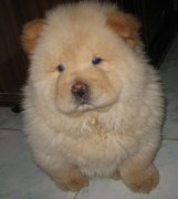 ����0������ô��