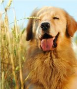 ��ë����ë��ô����