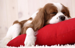 С����ô����