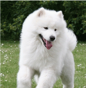 ����Ȯ�ؽڼ�����ô��