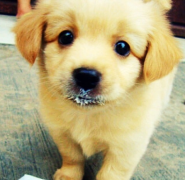 ����ë�״����ô��