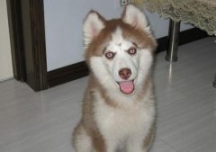 ��ʿ��Ա����ôι����