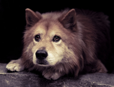 ����Ż�¹�����ô����