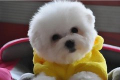 ���¹�������ע�����ͼ��