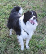 ������ͻȻȳ����ô��