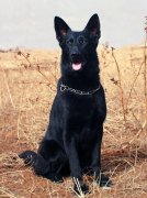 ��������������ô�죿��������վ������ô��