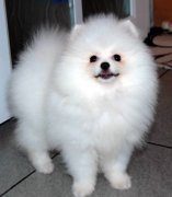 �����Ǵ���ô�죿