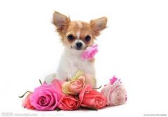 ����������ô�죿��ͼ��