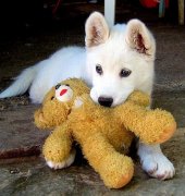 ��������������ô�죿