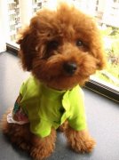 ̩����ô��ë����ͼ��