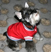 �������Ӳ�����ô�죿