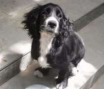 ������ˮ��ô��