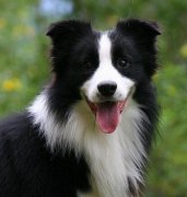 ���������Ӳ��Է���ô�죿������ϡ���Է���