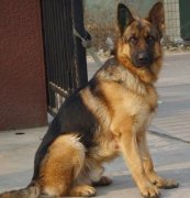 ������θ����ô�죿����Ż�³�θ���á�����