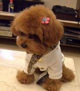 ���ȱ����ô�죿��ͼ��