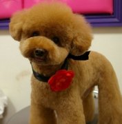 ���ȱ����ô��������ͼ��