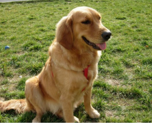 �����ë��θ������ô�죿