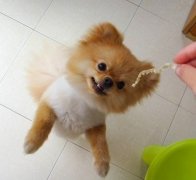 ������θ������ô�죿