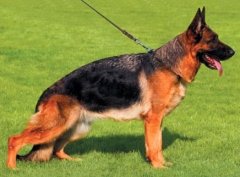 ����ȱ����ô�죨ͼ��