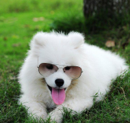 ��ĦҮȮ��������ô�죿