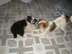 ������������ô�죿