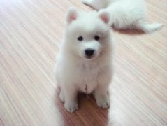 ��Ȯ��Ħ��ôι����ͼ��